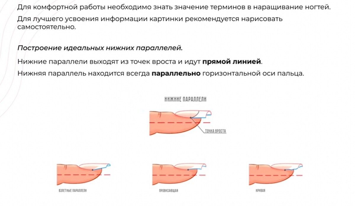 Построение нижних параллелей